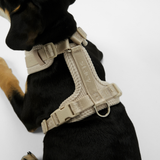 Staey - Numa Hundesele, Fløjl Oat