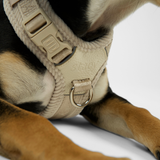 Staey - Numa Hundesele, Fløjl Oat