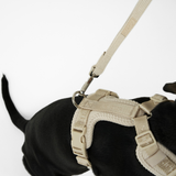 Staey - Numa Hundesele, Fløjl Oat