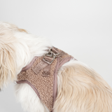 Staey - Teddy Step-in Hundesele, Mocca