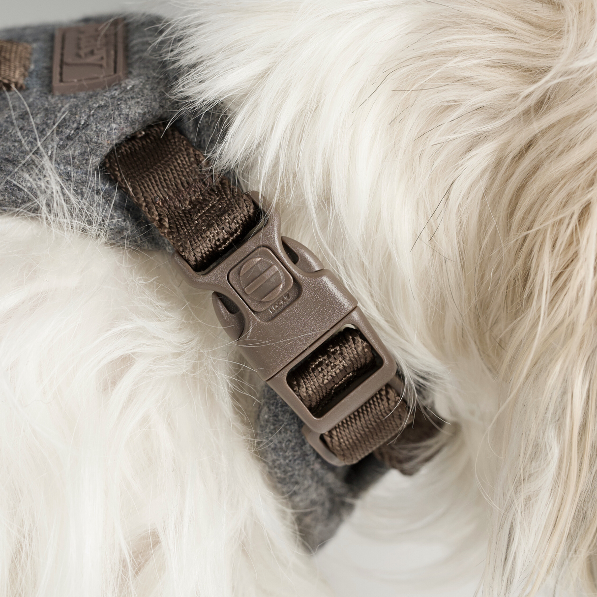 Staey - Elma Hundesele, Stone