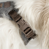 Staey - Elma Hundesele, Stone