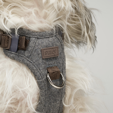 Staey - Elma Hundesele, Stone