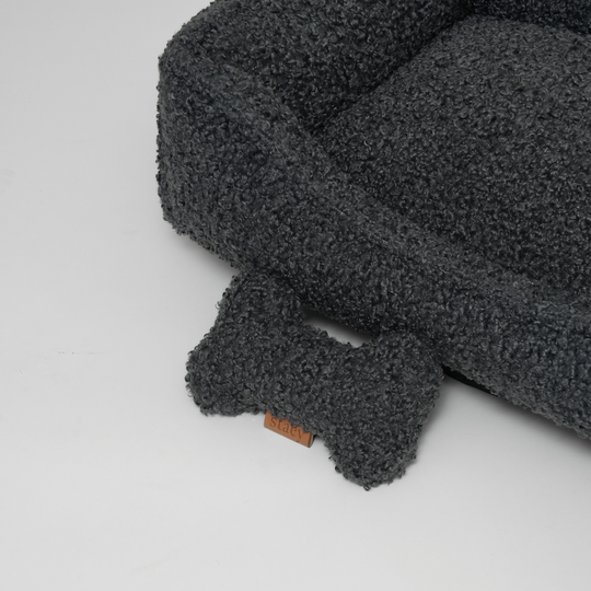 Staey - Tora Hundeseng, Storm Curly