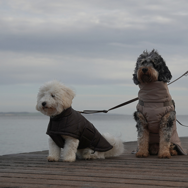 Staey - Nora Hundefrakke, Espresso