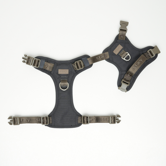 Staey - Elma Active Hundesele, Storm