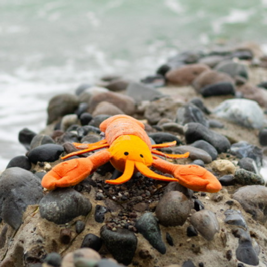 Humør Hummeren - Den perfekte aktiveringsbamse
