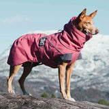 Hurtta Expedition parka hundedækken, Beetroot
