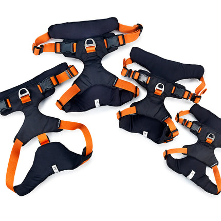 Dogman - Emmi Hundesele, orange