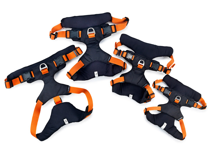 Dogman - Emmi Hundesele, orange