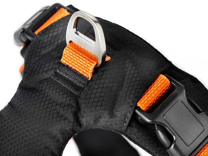 Dogman - Emmi Hundesele, orange