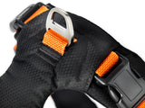 Dogman - Emmi Hundesele, orange