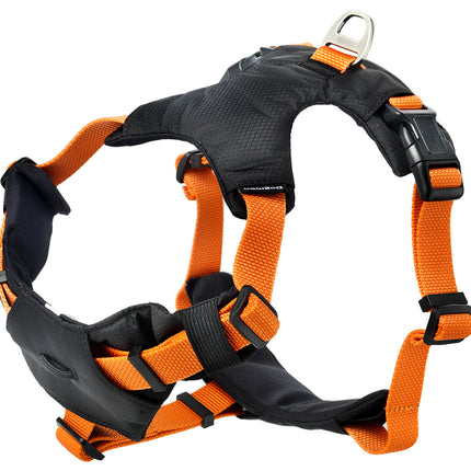 Dogman - Emmi Hundesele, orange