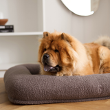 Staey - Clara Hundeseng, Limited Edition