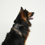 Staey - Elma Active Hundesele, Storm