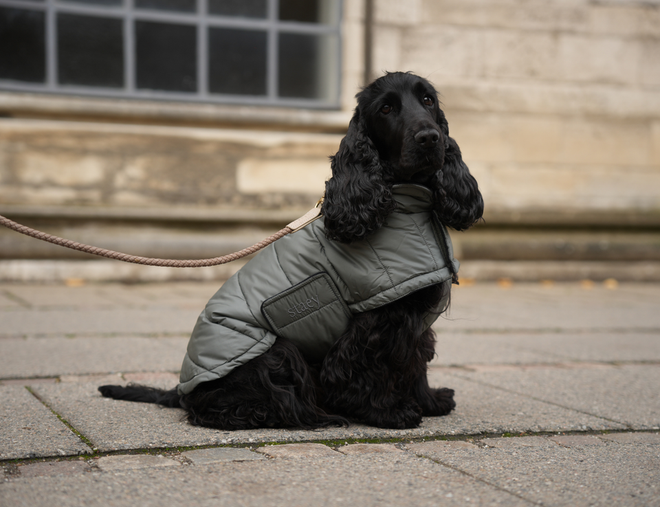 <strong>NORA HUNDEJAKKE </strong>❄️