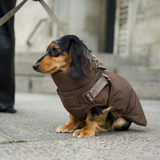 Vera Hundejakke m. sele, Chestnut – Staey