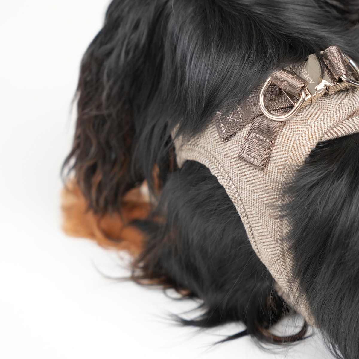 Staey - Saga Step-in Hundesele, Mocca