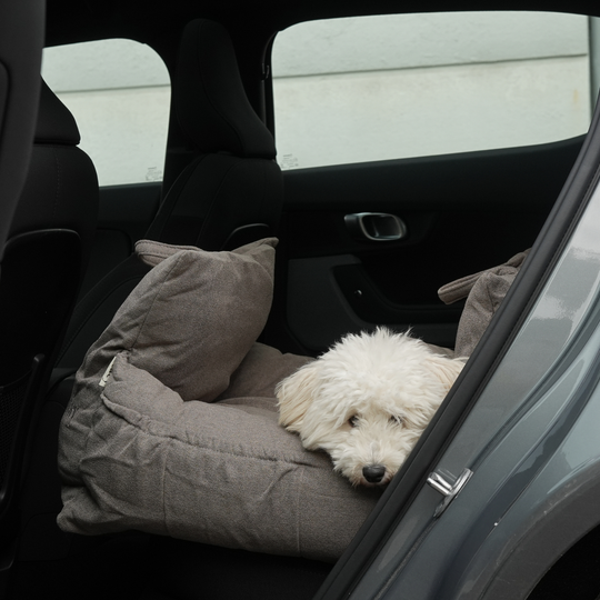 Staey - Lara 3-i-1 Bilsæde, Taupe 2.0