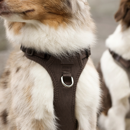 Staey - Elma Fløjl Hundesele, Dark Oak