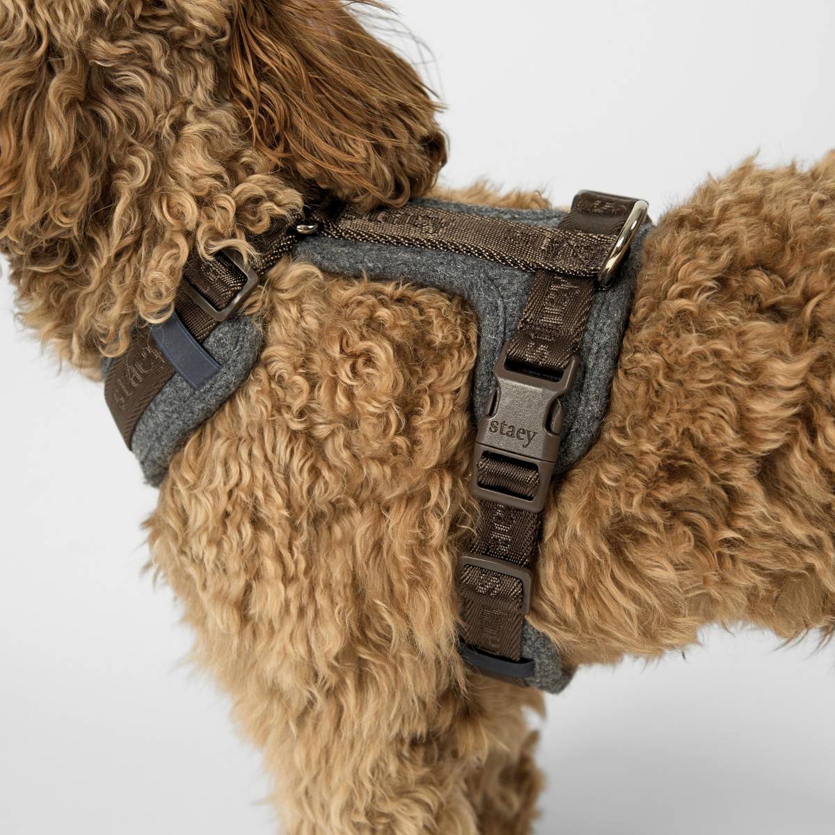 Staey - Numa Hundesele, Stone