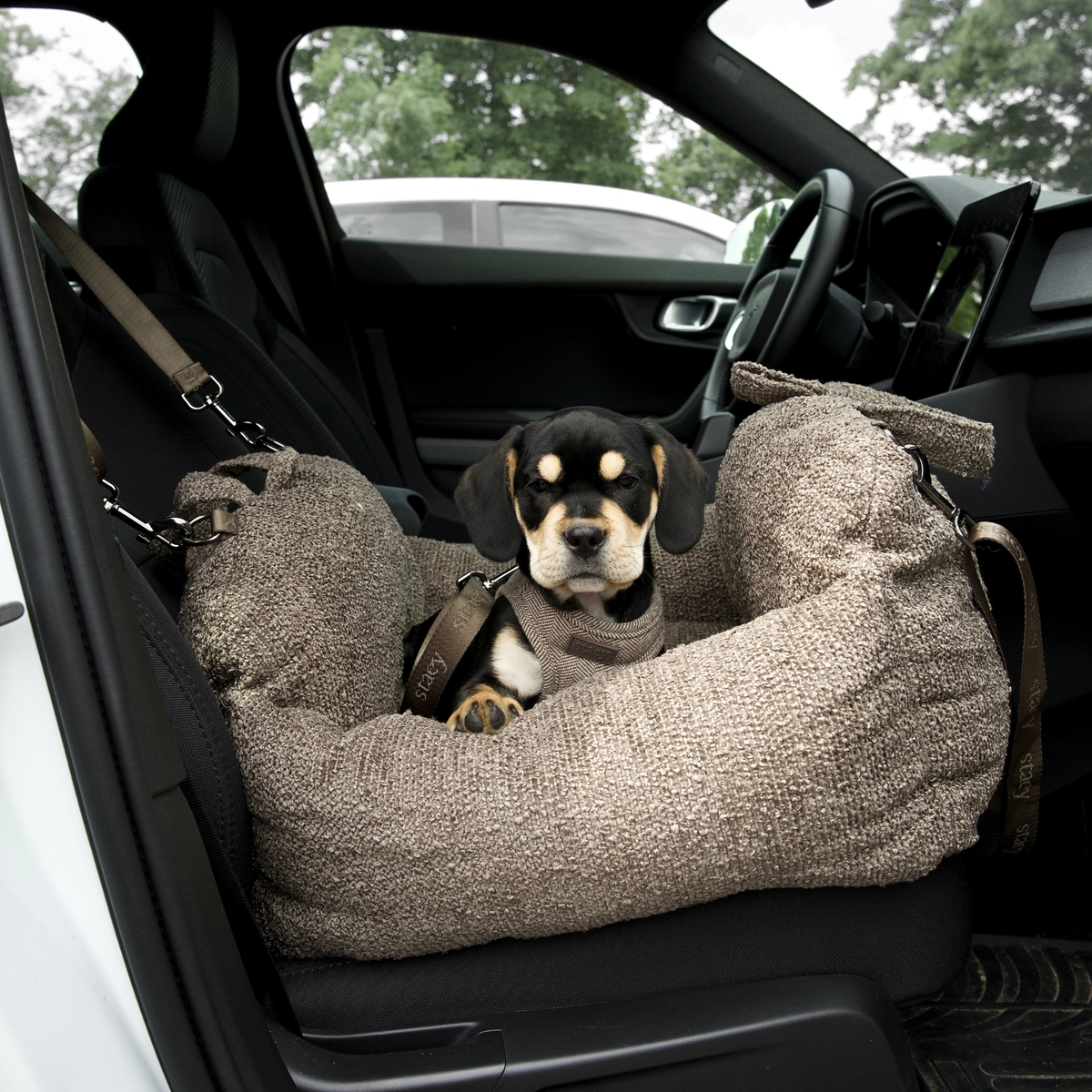 Staey - Tova Bilsæde, Chestnut Bouclé