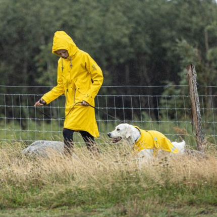 Jacson Peggy - Regndækken hund, gul