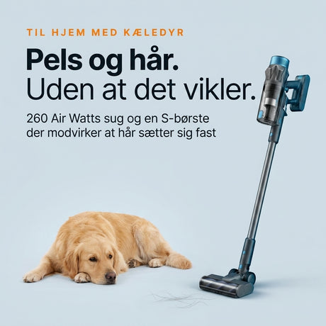 Trådløs støvsuger til hundehår ved siden af en golden retriever – Wavell Home C1 Pro med S-børste