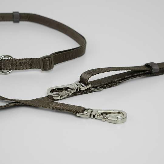 Staey - Håndfri Hundesnor, Taupe