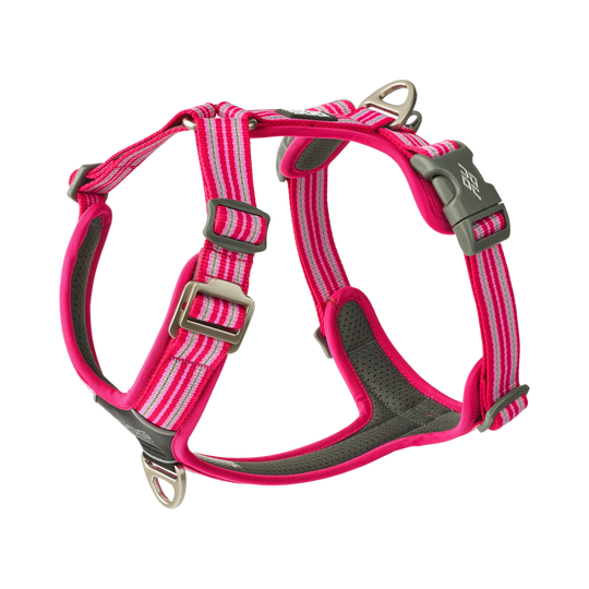 Dog Copenhagen Comfort Walk Air™ hundesele Wild Rose