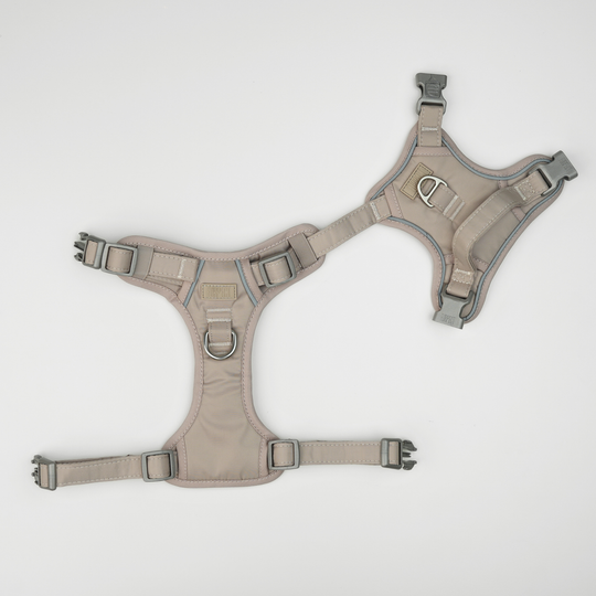 Furpect - Core H-Hundesele, Sand