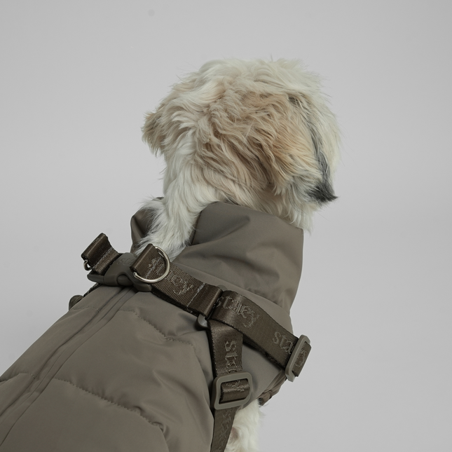 Staey - Vera Hundejakke m. sele, Sage