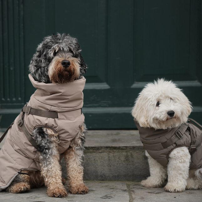 Staey - Vera Hundejakke m. sele, Sand