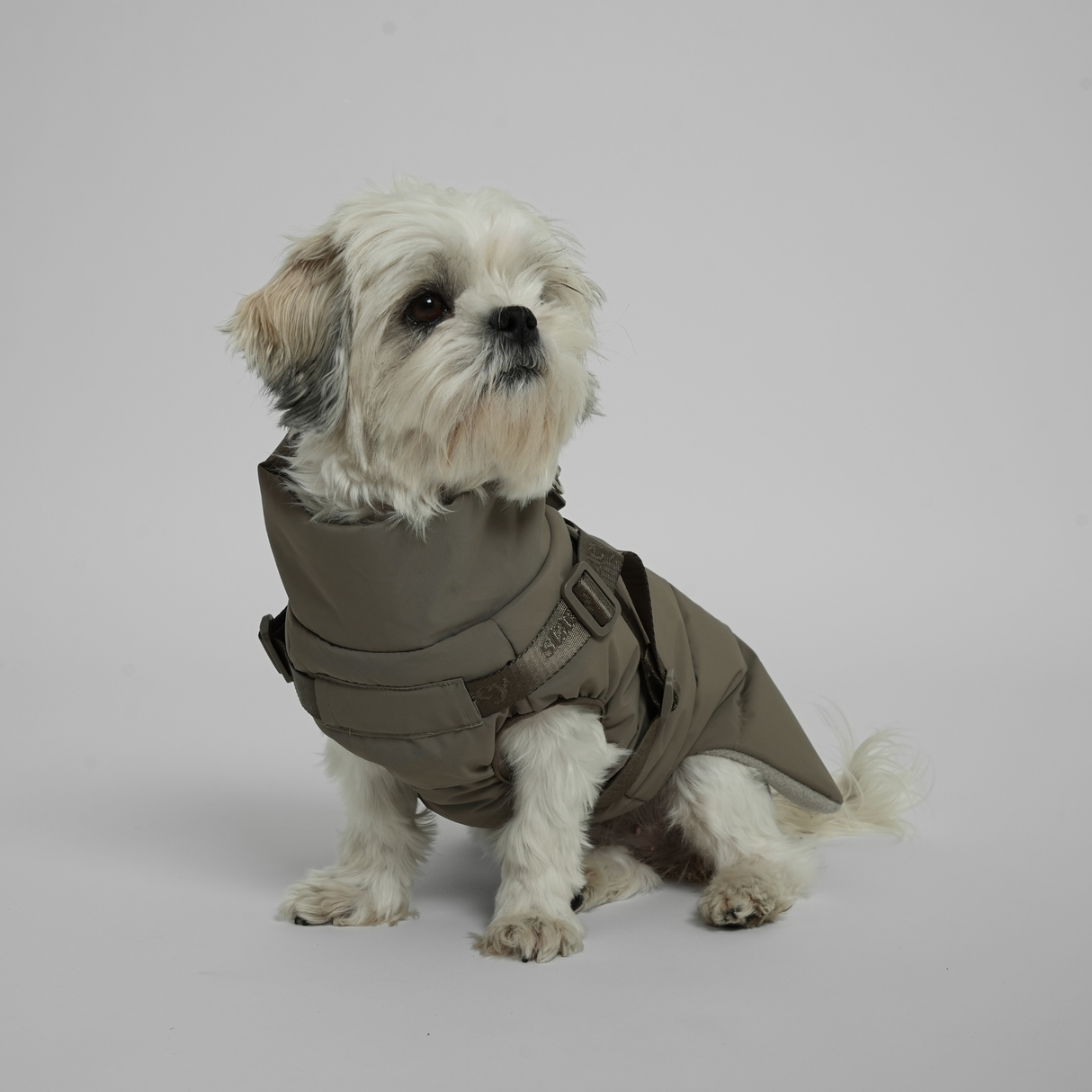 Staey - Vera Hundejakke m. sele, Sage