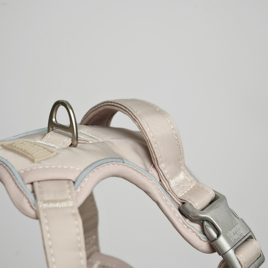 Furpect - Core H-Hundesele, Sand