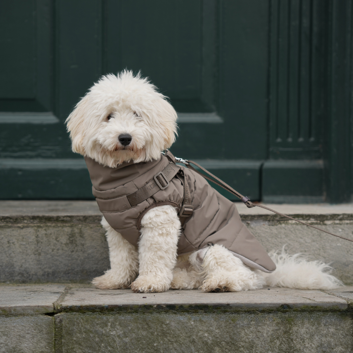 Staey - Vera Hundejakke m. sele, Sage