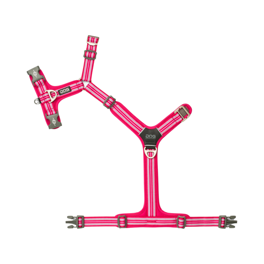 Dog Copenhagen Comfort Walk Air™ hundesele Wild Rose