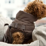 Vera Hundejakke m. sele, Chestnut – Staey