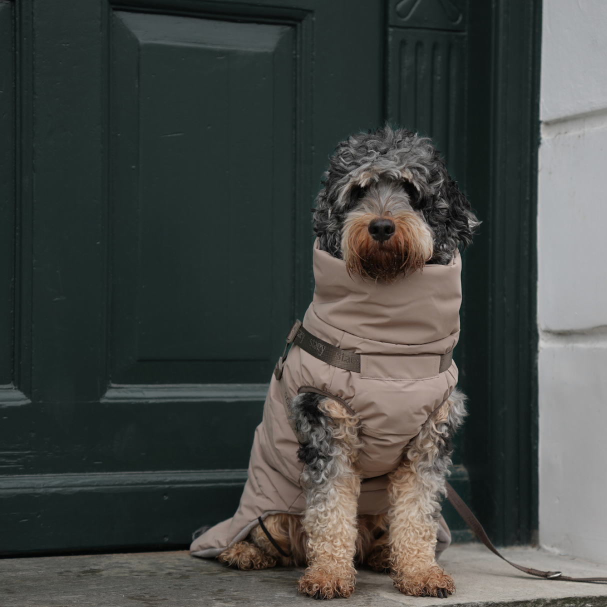 Staey - Vera Hundejakke m. sele, Sand