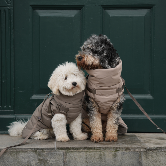 Staey - Vera Hundejakke m. sele, Sage