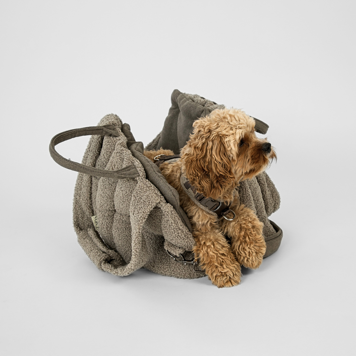 Staey - Ella Hundetaske, Teddy