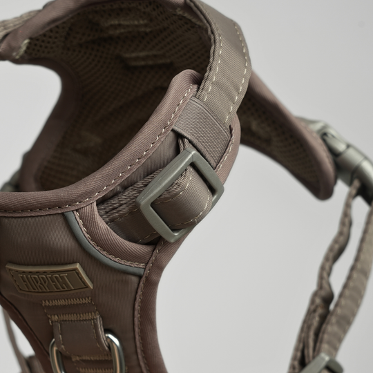 Furpect - Core H-Hundesele, Latte