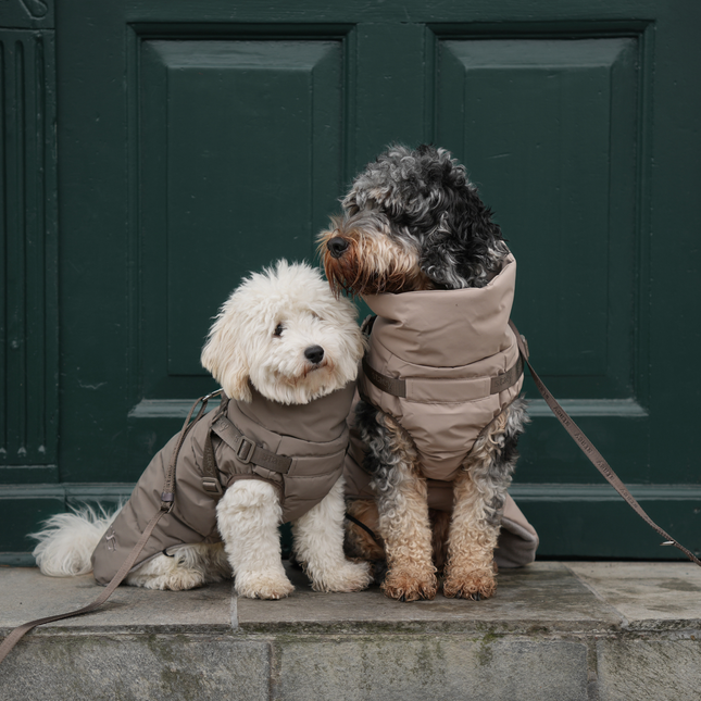 Staey - Vera Hundejakke m. sele, Sand