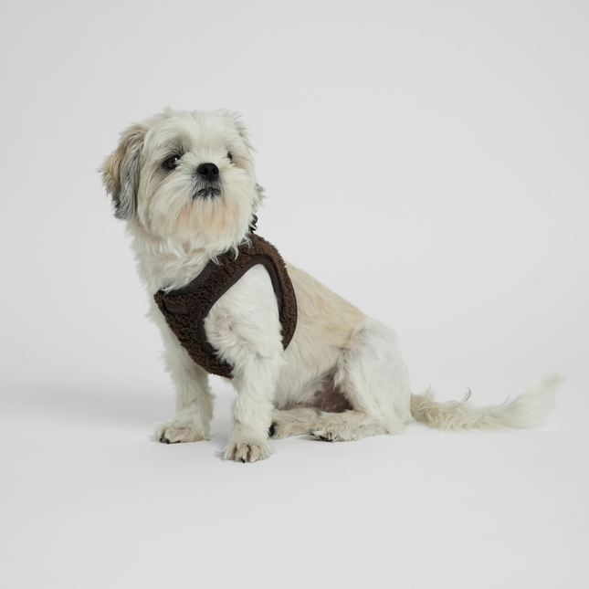 Staey - Teddy Step-in Hundesele, Espresso