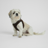 Staey - Teddy Step-in Hundesele, Espresso