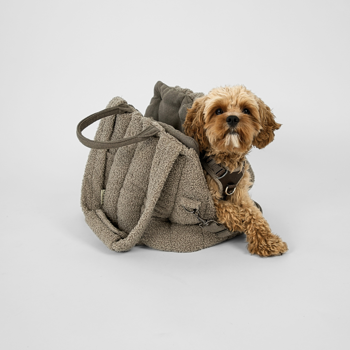 Staey - Ella Hundetaske, Teddy
