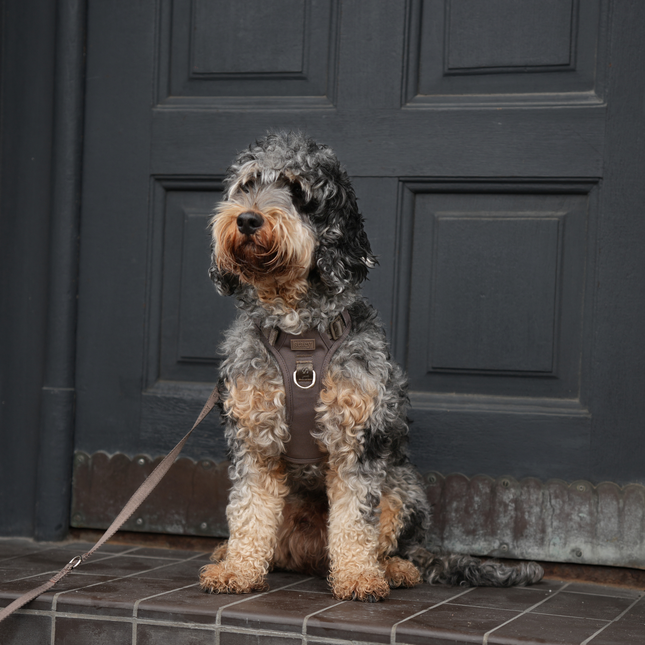 Staey - Elma Active Hundesele, Taupe