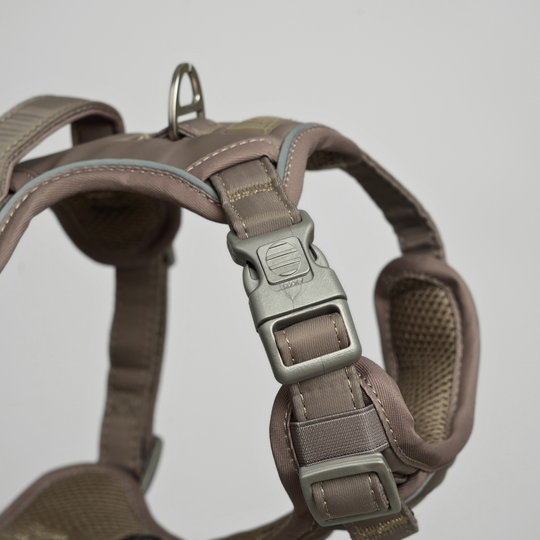 Furpect - Core H-Hundesele, Latte