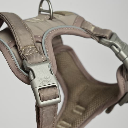 Furpect - Core H-Hundesele, Latte