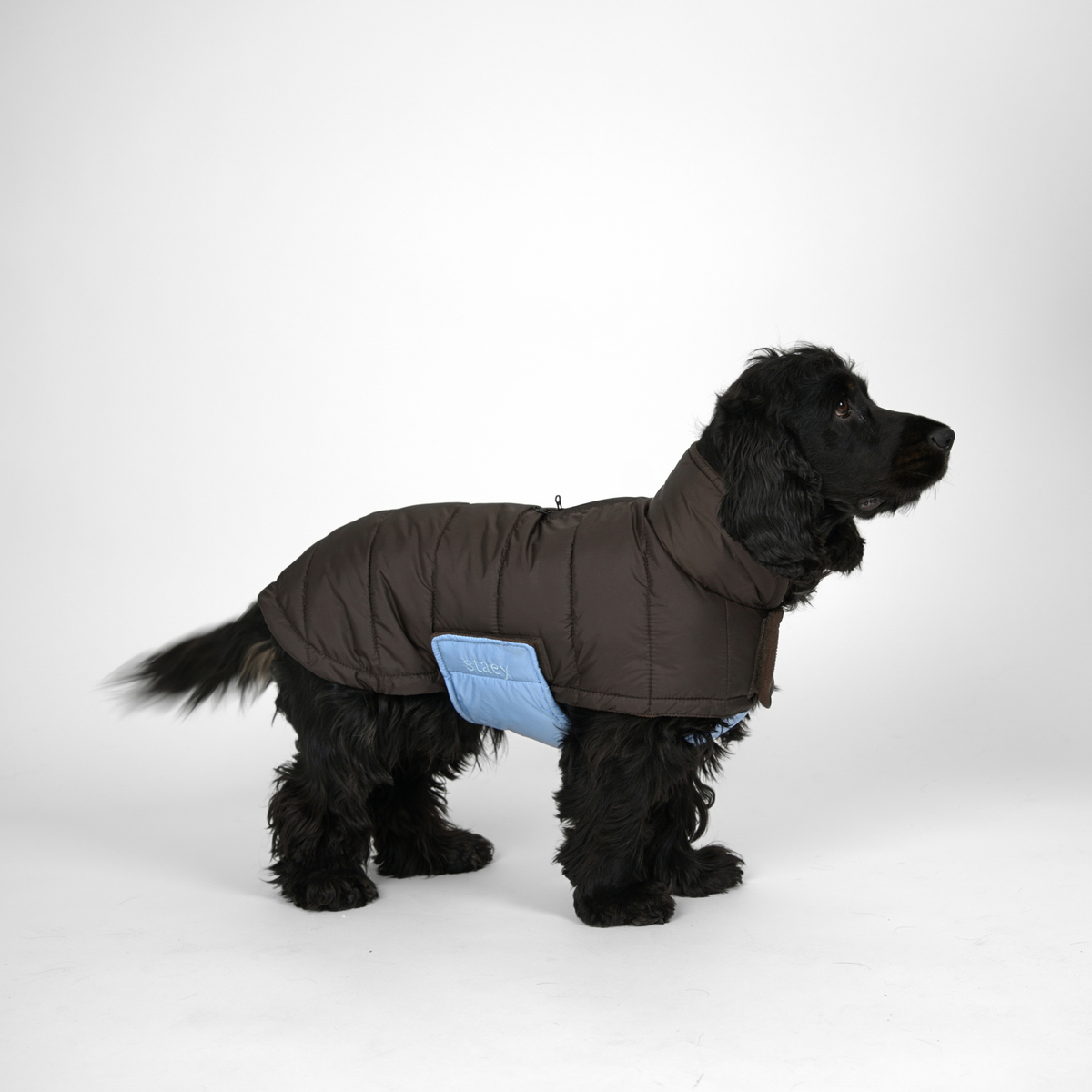 Nora Hundefrakke, Espresso/Sky Blue – Staey